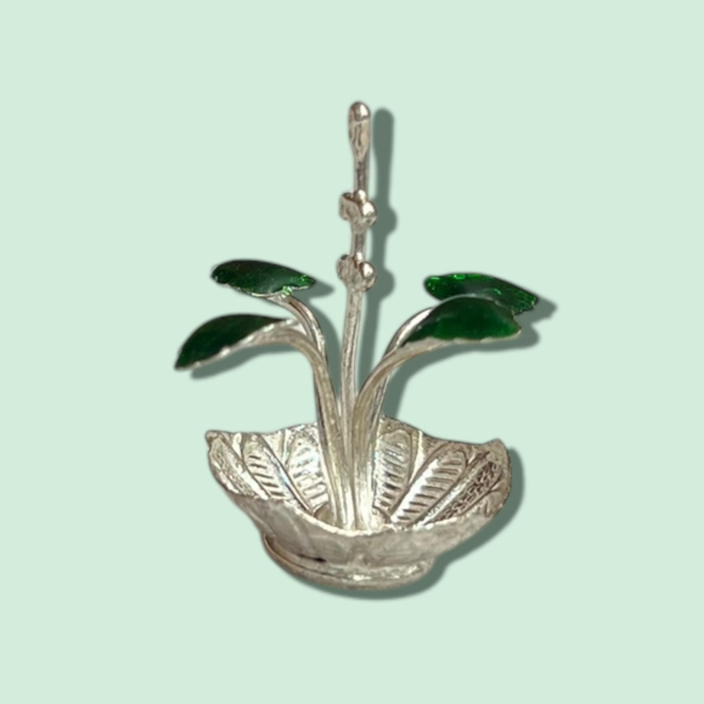 MINI TULASI KOTA