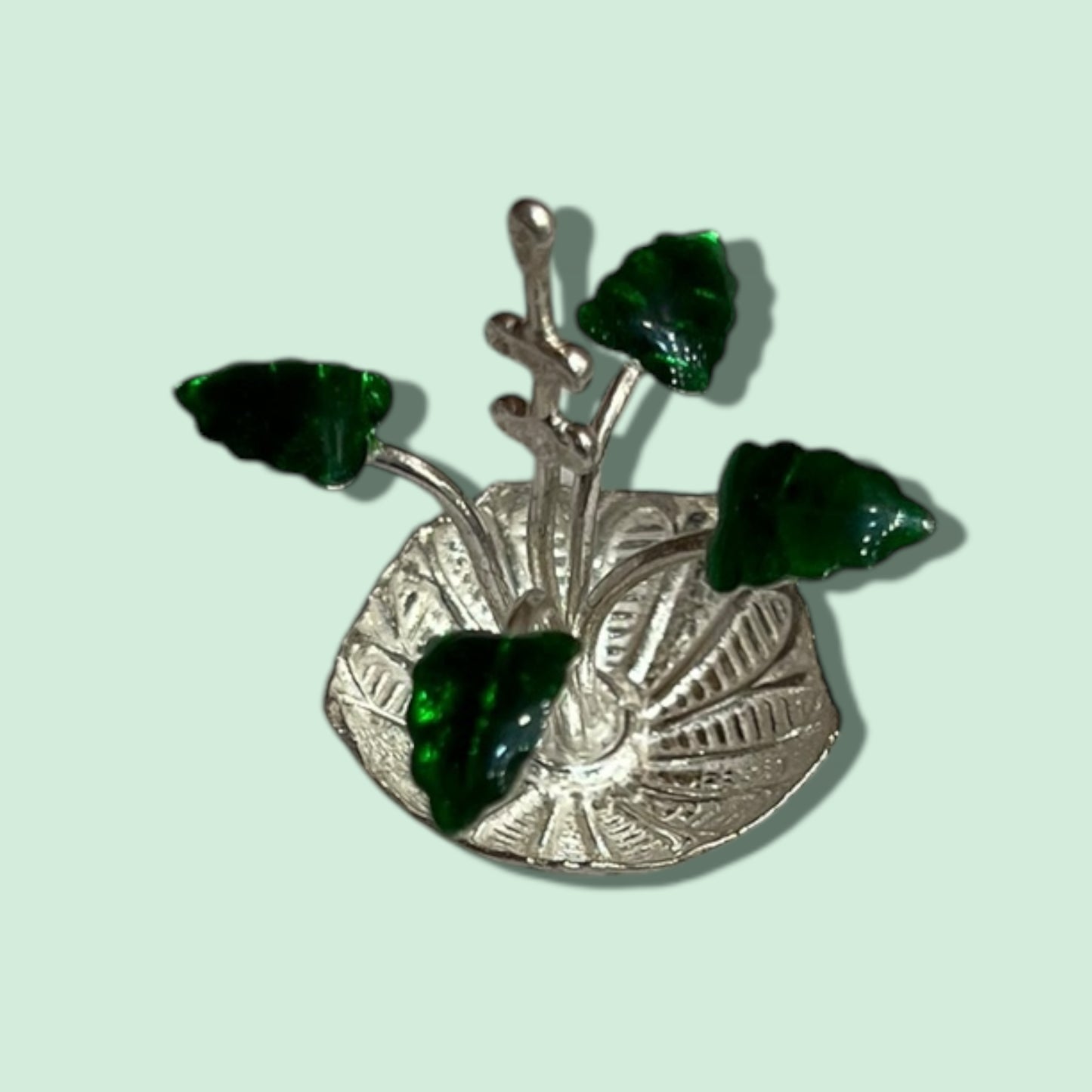 MINI TULASI KOTA