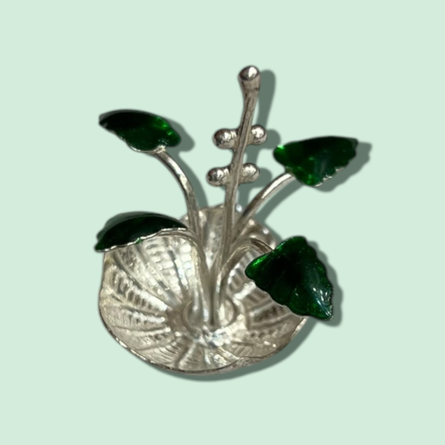 MINI TULASI KOTA